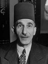 أحمد محمد حسنين باشا